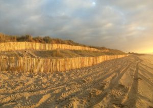 Aménagement d’un plan de préservation d’espace dunaire en Normandie